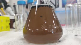 Boffins are improving beer - by having mini robots swim around in it