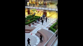 Mall customers run in fear as hooligans clash in Greece
