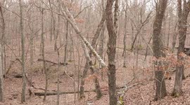 Hiking in Southern Illinois Woods during the winter of year 2021