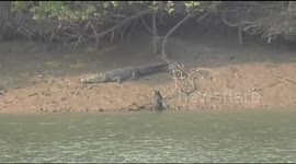 Due to The breeding season of the crocodiles of Bhitarkanika National Park has started, the park will close for 3 anchor..