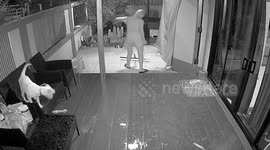 Amusing pet dog slips across wet floor as owner mops up rainwater on balcony