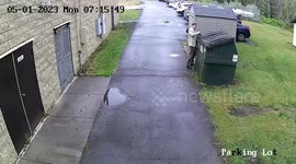 Terrified School Head Flees Bear In Dumpster In Nicholas County, WV, USA