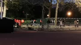 Arrest outside Buckingham Palace reported over man throwing 'shotgun cartridges'