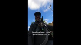 London biking adventures with a feline companion!