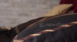 Exploring canadian rocky mountains from Jasper to Banff and the city of Toronto in hyperlapses