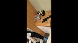 Whodunit: The case of the spilt drink and the suspicious dog in Warrington, UK