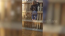 Toddler has been climbing since she was 11 months and can now scale 52-foot walls
