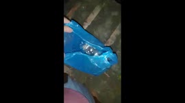 I freed my 6 month old crab. And It can live by it's own now.