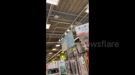 Trains halt and furniture shakes as Japanese city hit by 6.3 strength earthquake