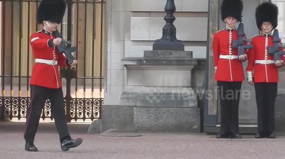 Buckingham Palace guard slips and falls in front of hundreds ...