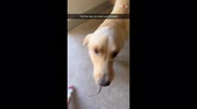 temp
