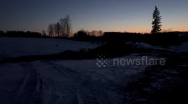 Deer on a field in Norway, Night time early March