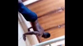 Push-ups in another dimension. Pushing up and clapping and walking with upside down with the hands. Thank you.