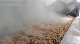 Villagers Use Traditional Techniques To Make Wine In Xuzhou, China