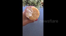 Watch this satisfying footage of cupcakes being decorates with beautiful floral designs
