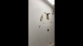 Group of friends horrified after finding 'urine and blood' on floor of Birmingham apartment they booked for friend's birthday