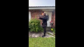 My father is presenting the gender to our family based on the beginning of the lion King movie.