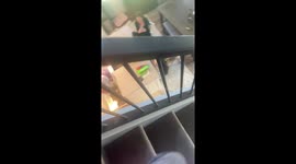 Woman has a fun reaction to daughter surprising her with unannounced homecoming