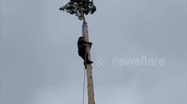 Northern Spanish village welcomes spring with quirky Celtic maypole tradition