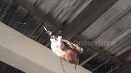 Kind soldier frees pigeon tangled in net inside Thai military camp