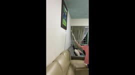 When You're Terrified Of Cockroaches, You Run