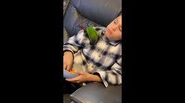 Owen And Bird Share Cheesy Snacks