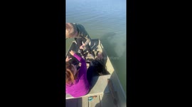 Family Catches a Big Fish