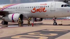 Bees attack plane injuring six people when it lands in Thailand