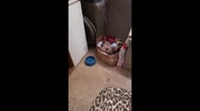 temp