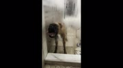 temp