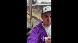 Man Shares Lunch With Loki the Raven