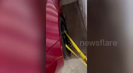 Untouched 'time machine' Teslas discovered in shipping crate are up for sale