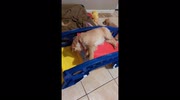 temp