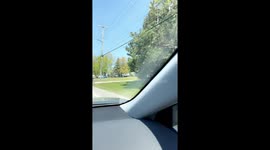 Man Attempts Fence Jump Escape