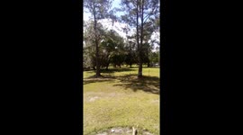 As the clouds cover our star on a day in mid spring, I see a rapid succession of shadow and light