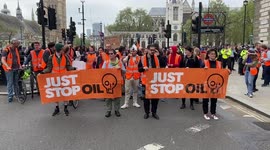 Just Stop Oil demonstrators stage slow march in Westminster, London
