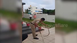 Snake spotted in Modi government party office in Southern India