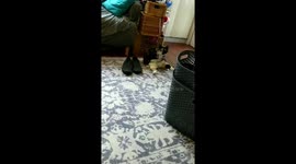 What Are You Lookin' At?