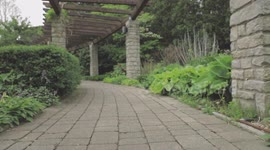 In short Wedding video