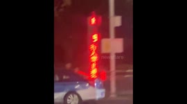 Unusual yet heartwarming sight: couple helps dog cross busy road on hind legs