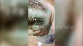 Funny moment mum finds out toddler smothered her hair in half a tub of hair gel