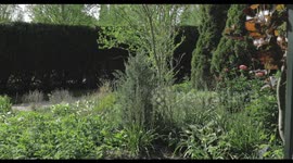 Garden Slow motion Video