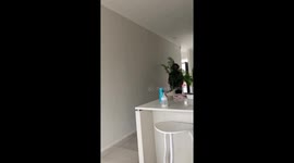 The Only Thing Hurt Was Her Pride