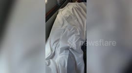 Rescued Mountaineer Airlifted to New Delhi, India for Medical Treatment