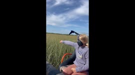 Curious bird lands on the arm of a girl while she's on an airboat