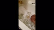 temp