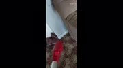 temp