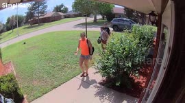 There was a ton of moths and my son got a bit scared.