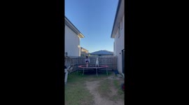 Luna on the trampoline