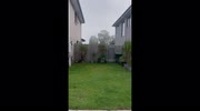 temp